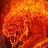 flameboy